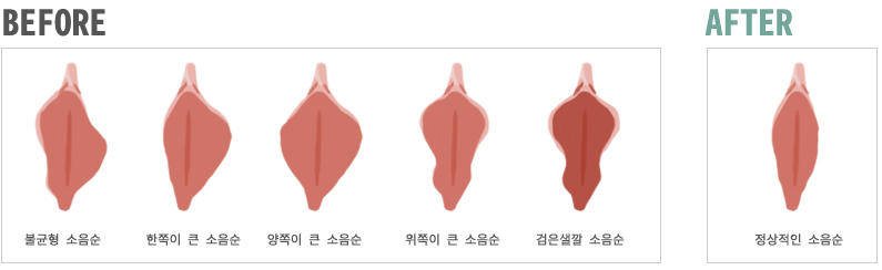 ������ ����