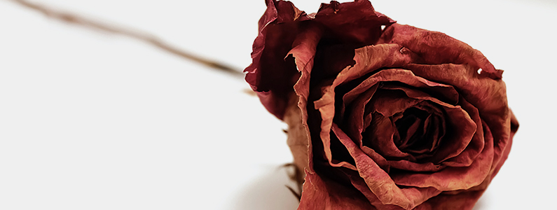 �������� Ŭ����